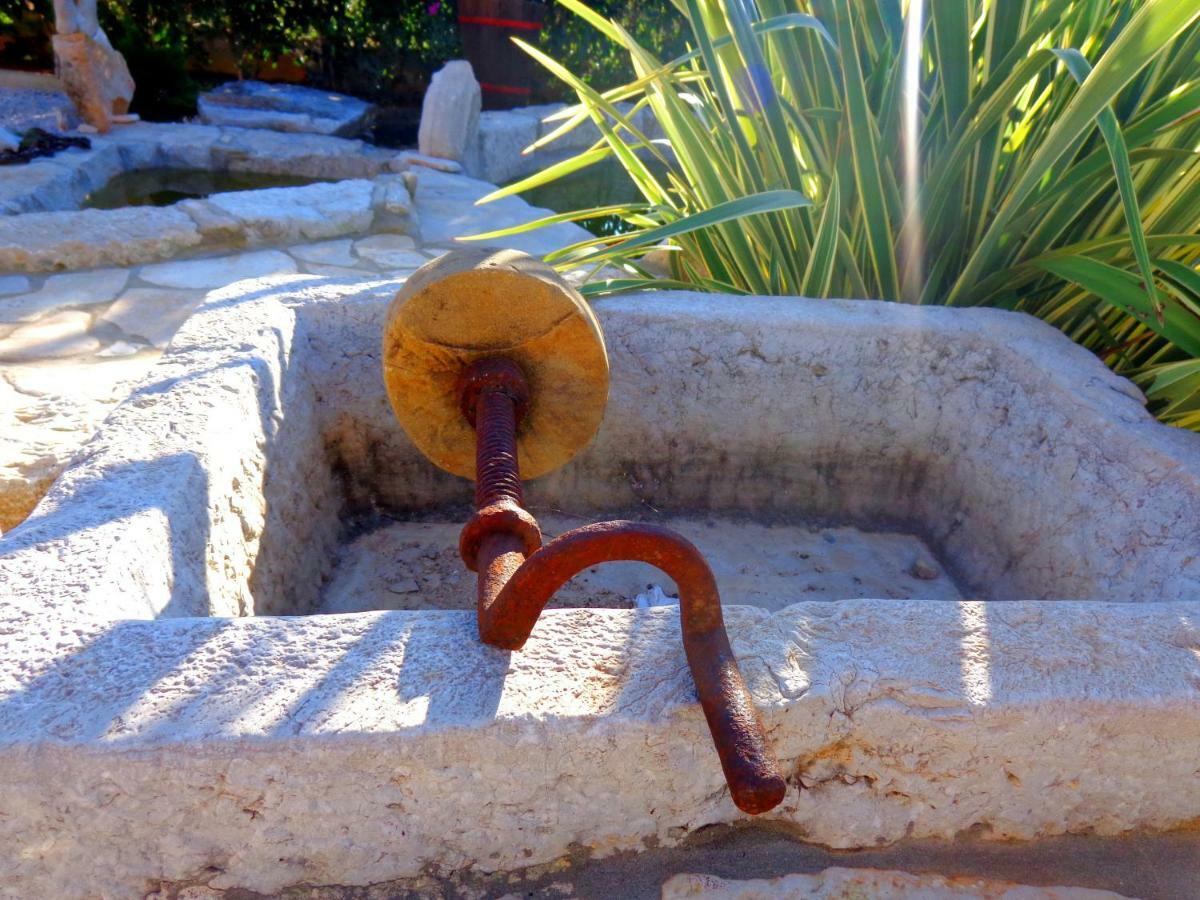 Villa Alma Kaštelir Екстериор снимка